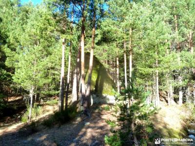 Loma del Noruego y Pinares de Valsaín;excursiones fin de año rutas senderismo navacerrada senderis